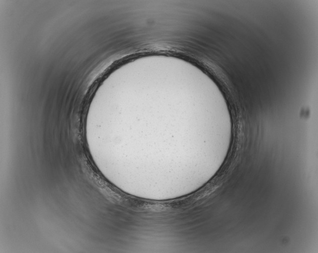 X0000112461023200909281015