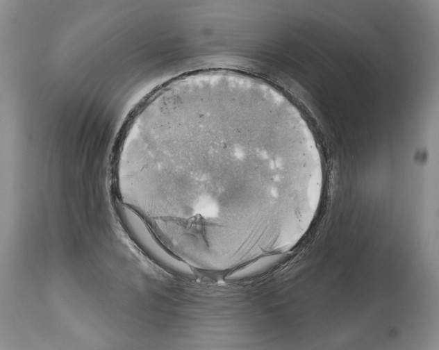 X0000112461024200909281015