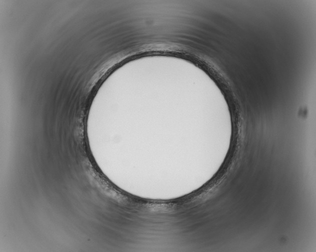 X0000112461025200909281015