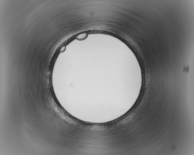 X0000112461029200909281015