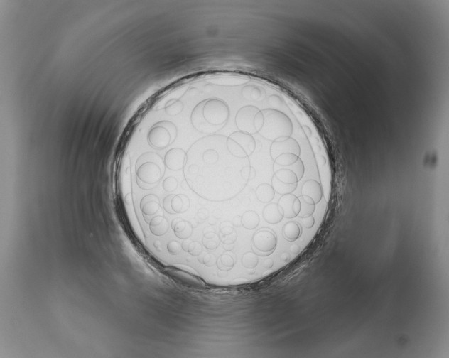 X0000112461032200909281015