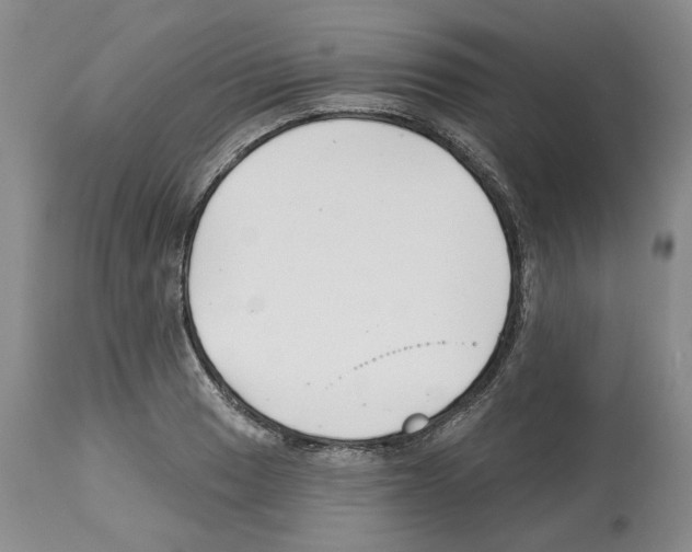 X0000112461033200909281015