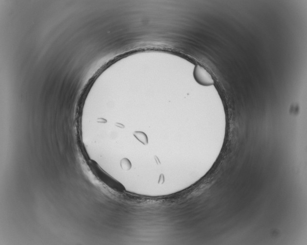 X0000112461038200909281015