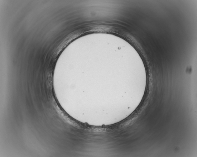 X0000112461041200909281015