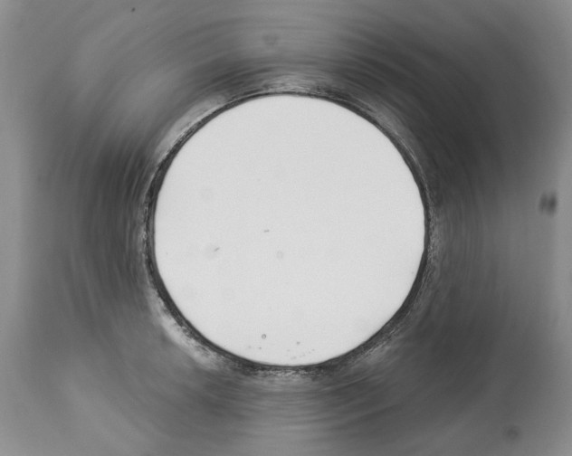 X0000112461042200909281015