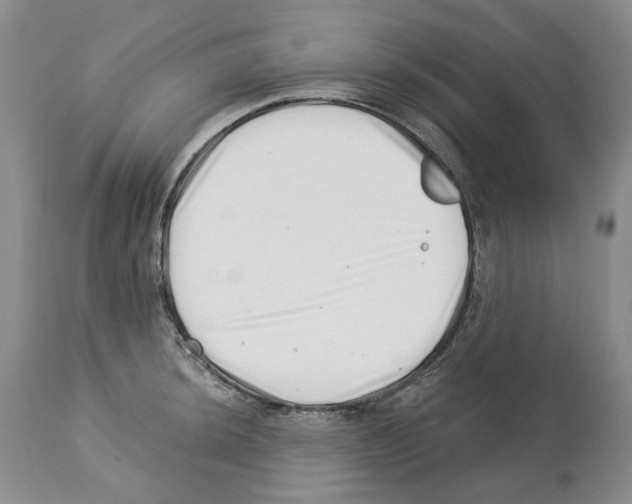 X0000112461044200909281016