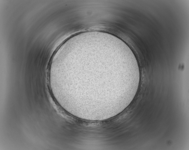 X0000112461047200909281016