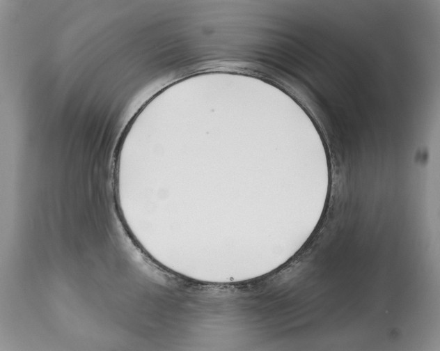 X0000112461050200909281016