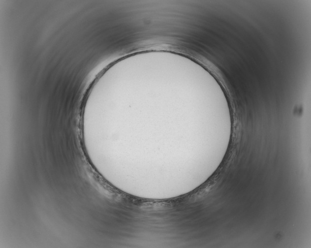 X0000112461051200909281016