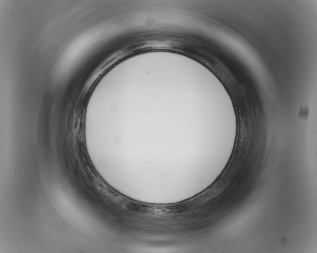 X0000112461052200909281016