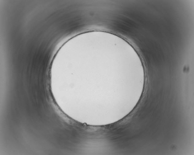 X0000112461056200909281016