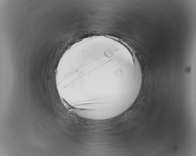 X0000112461057200909281015