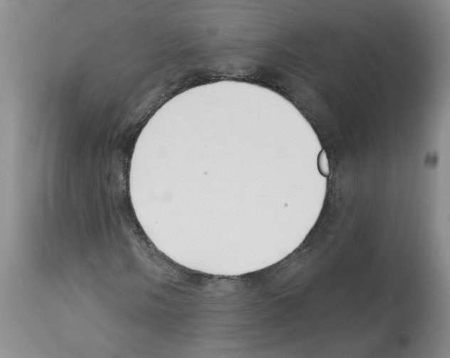 X0000112461058200909281015