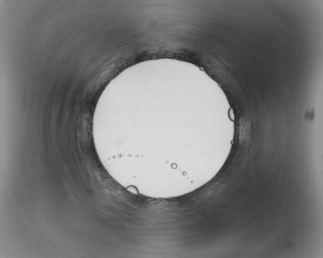 X0000112461059200909281015