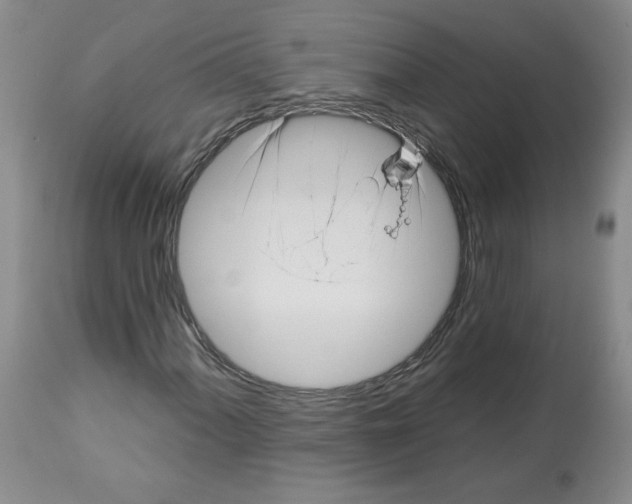 X0000112461060200909281015