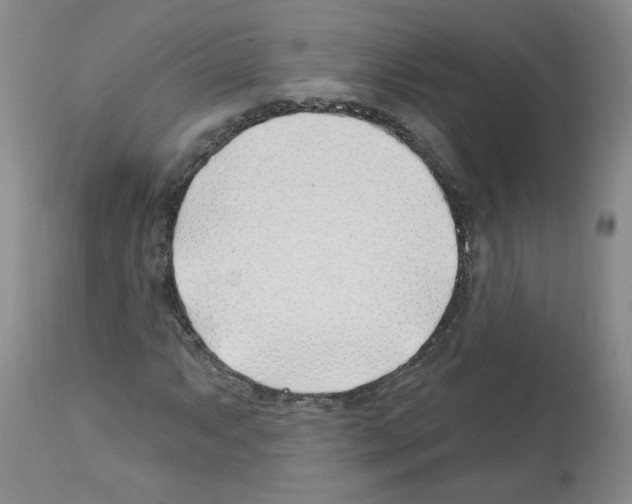 X0000112461063200909281015