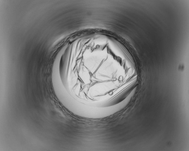 X0000112461064200909281015