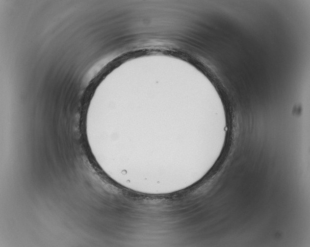 X0000112461066200909281015