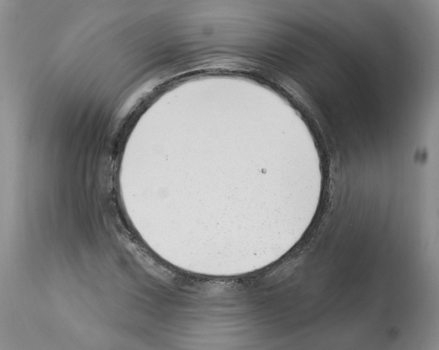 X0000112461067200909281015