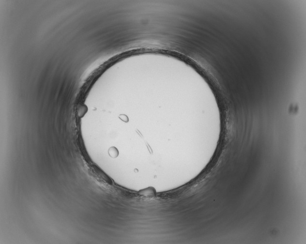 X0000112461070200909281015