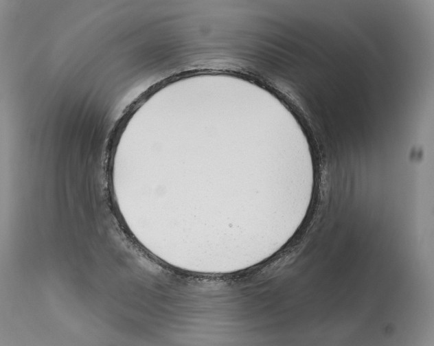 X0000112461071200909281015
