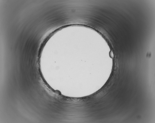 X0000112461072200909281015