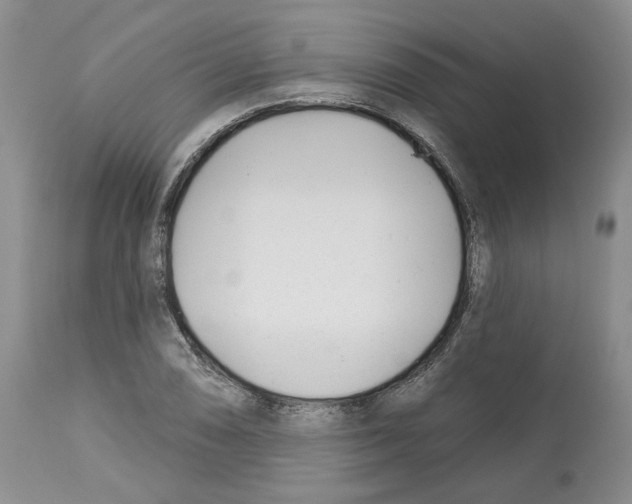X0000112461074200909281015