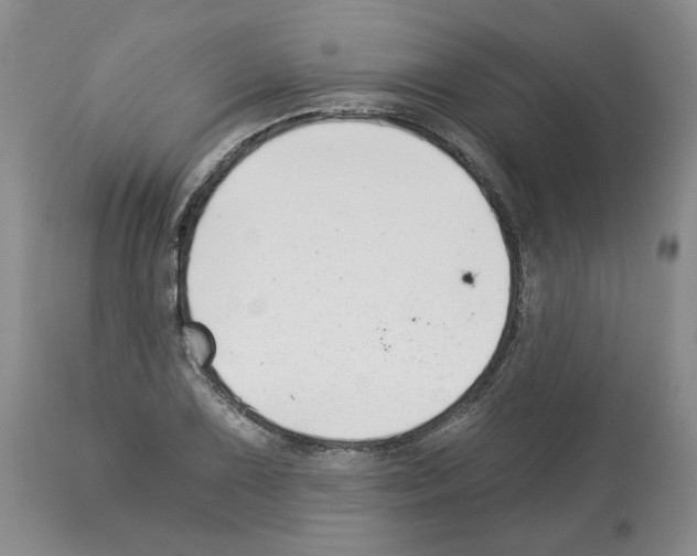 X0000112461075200909281015