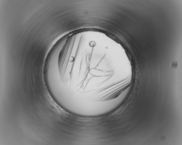X0000112461076200909281015