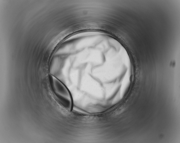 X0000112461081200909281015