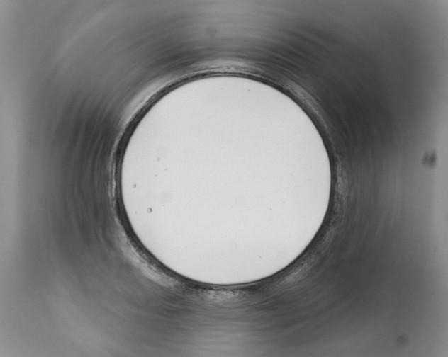 X0000112461082200909281014