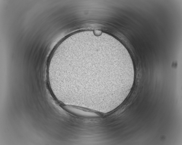 X0000112461083200909281014
