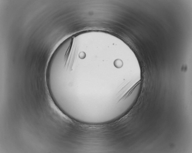 X0000112461084200909281014