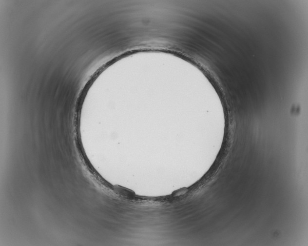 X0000112461085200909281014