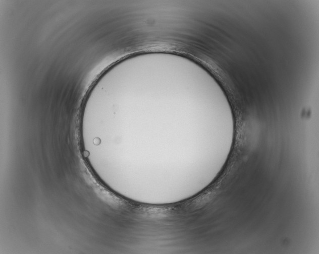 X0000112461086200909281014