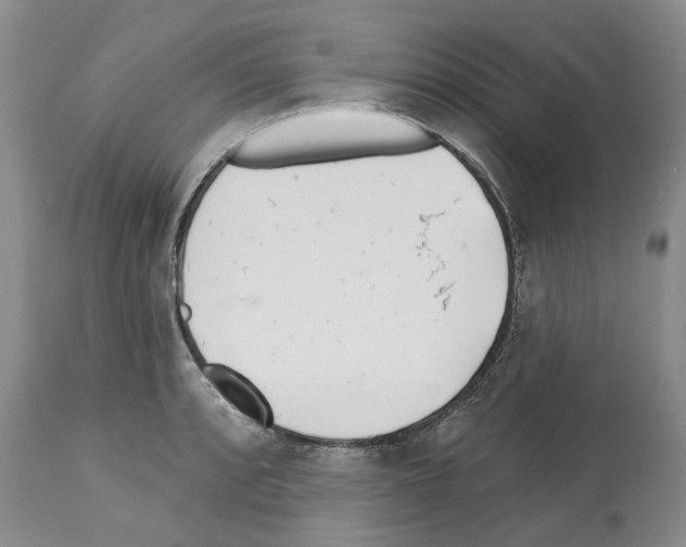 X0000112461088200909281014