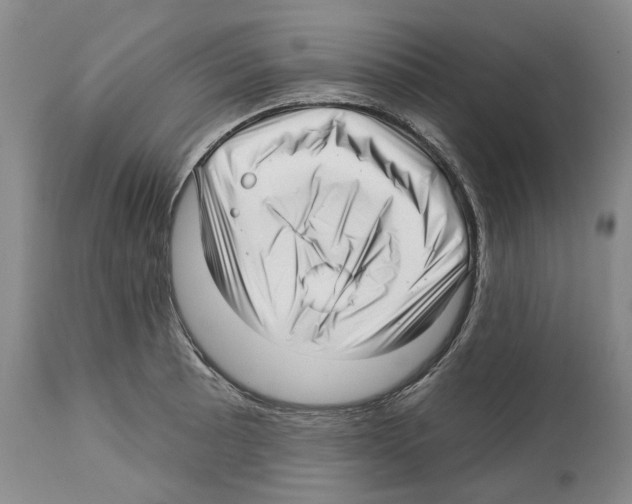 X0000112461089200909281014