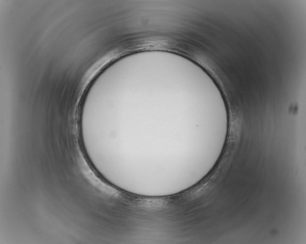 X0000112461090200909281014