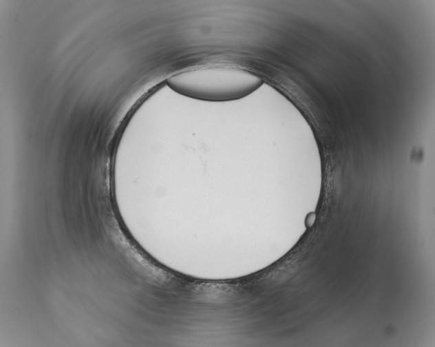 X0000112461092200909281014