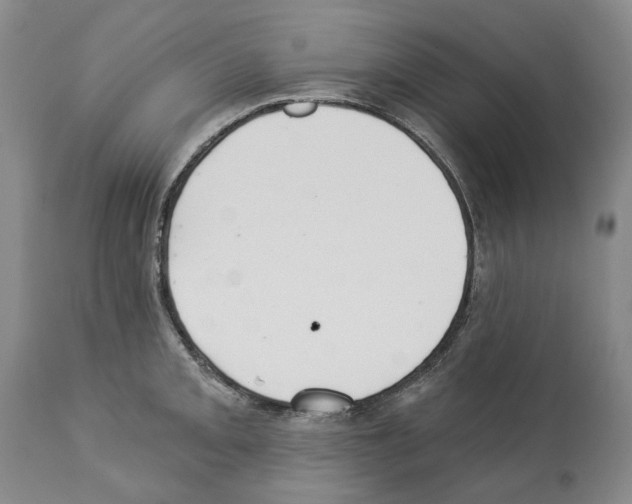 X0000112461093200909281014
