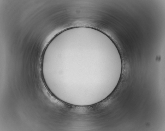 X0000112461094200909281014