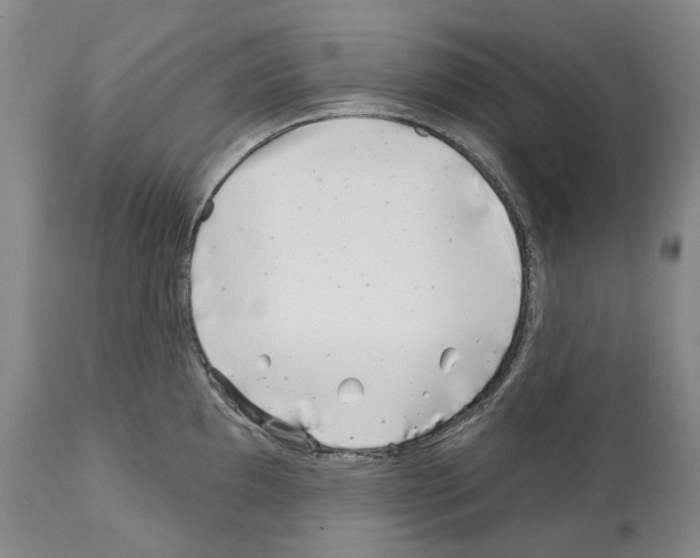 X0000112461097200909281014