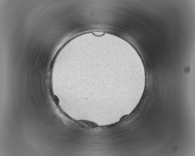 X0000112461099200909281014