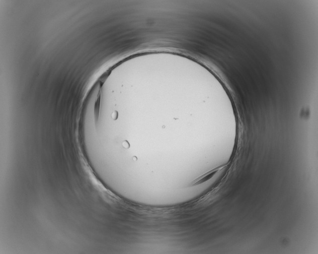 X0000112461101200909281014