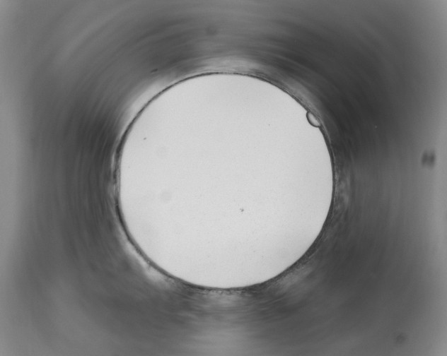 X0000112461103200909281014