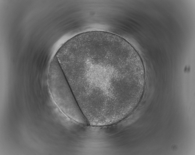 X0000112461104200909281014