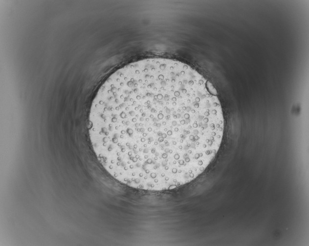 X0000112461105200909281013