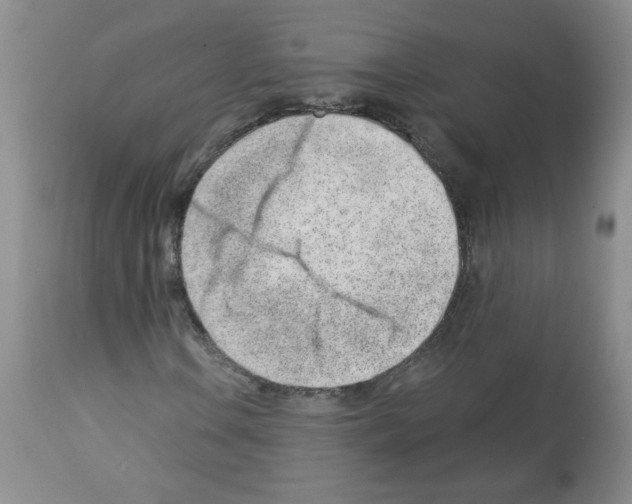 X0000112461106200909281013