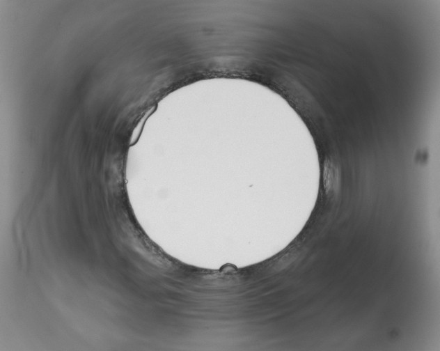 X0000112461107200909281013
