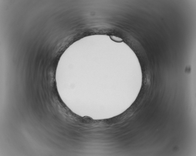 X0000112461108200909281013